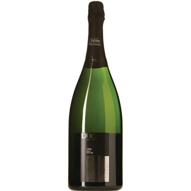 Duc de Foix - Cava Brut